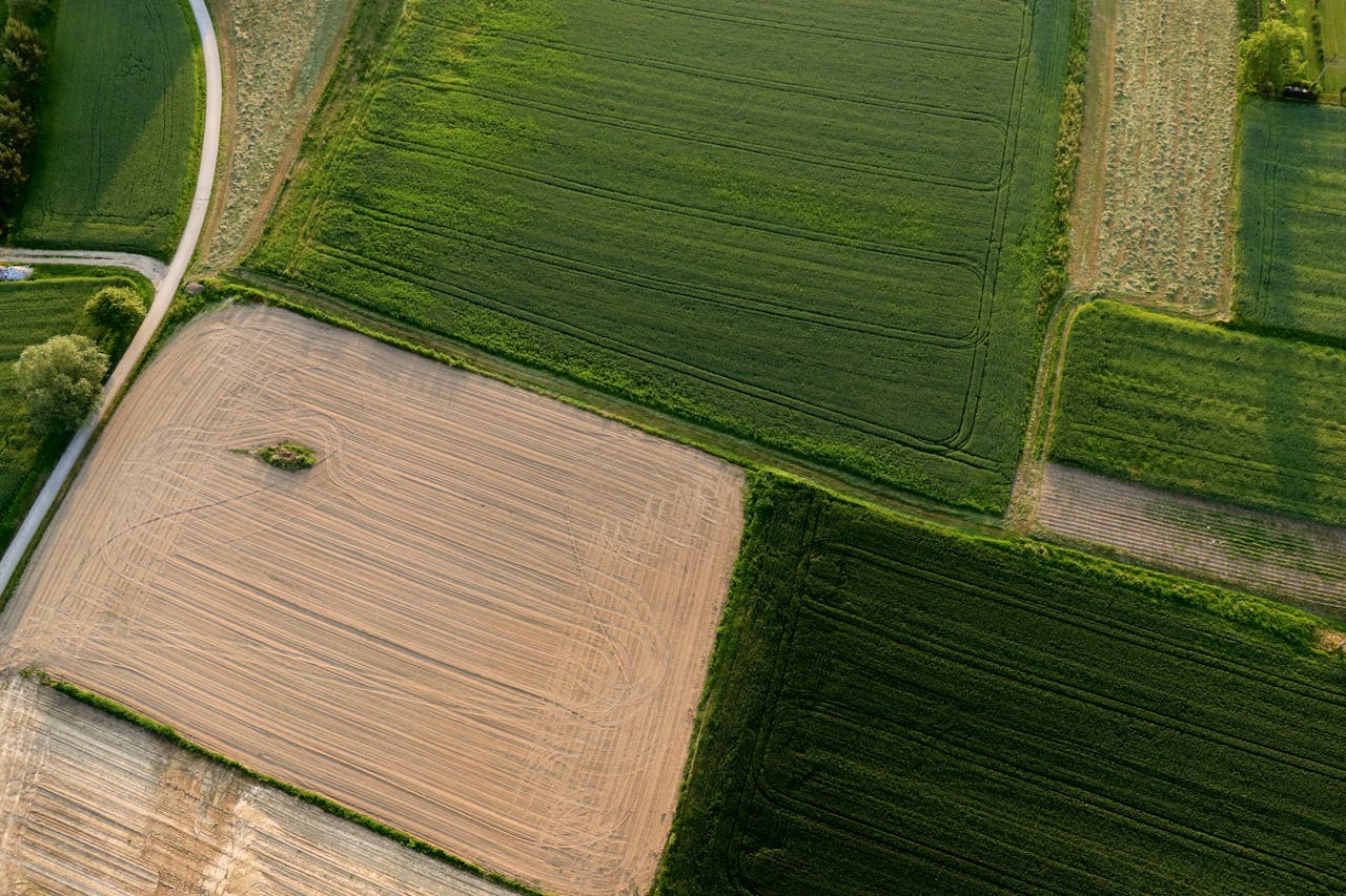 Aerial view of lush green and brown fields showcasing diverse agricultural landscapes.