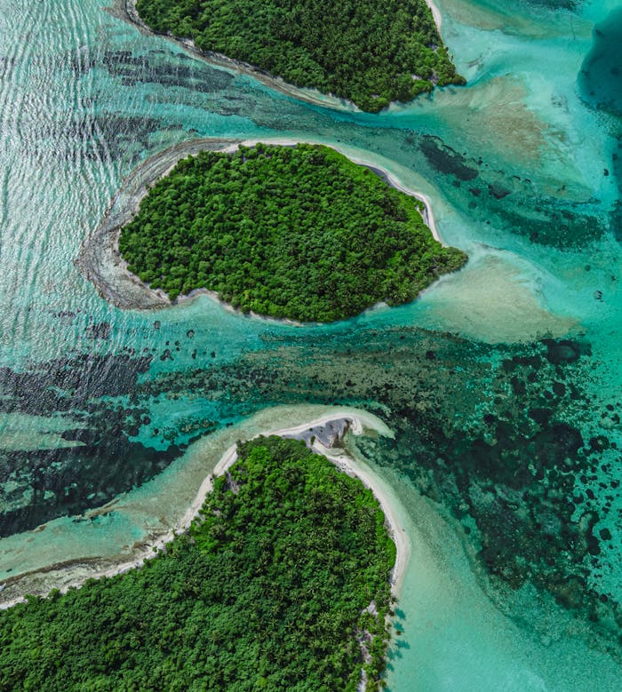Breathtaking aerial view of lush islands in the Maldives surrounded by a turquoise ocean.