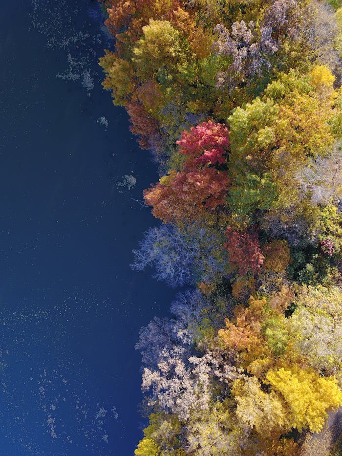 Vibrant aerial view of autumn foliage by a serene lake in Eden Prairie, MN.