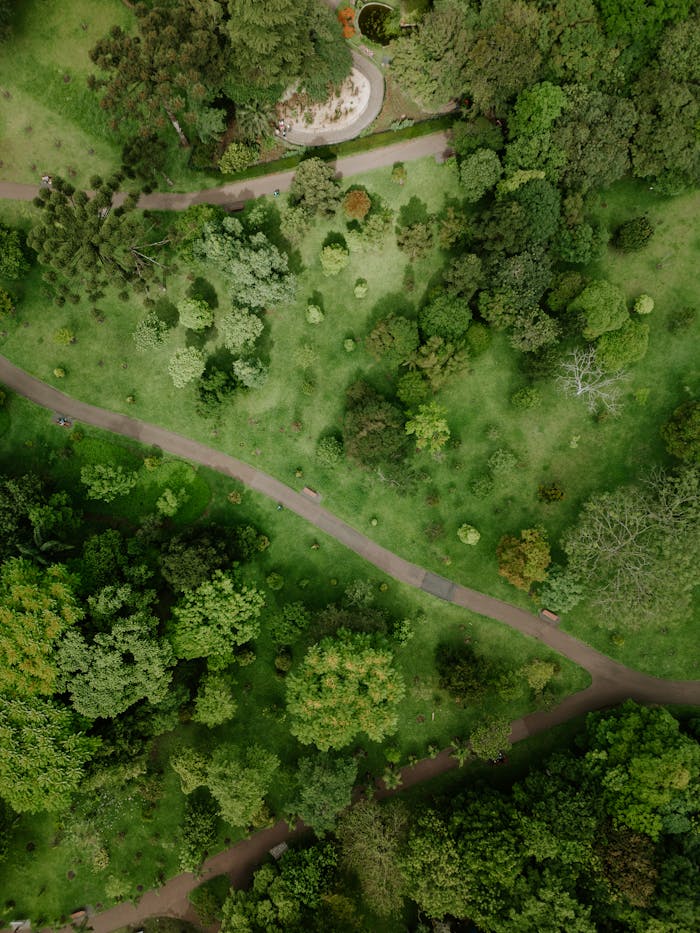Top view of vibrant foliage and winding paths in a park in Curitiba, Brazil.